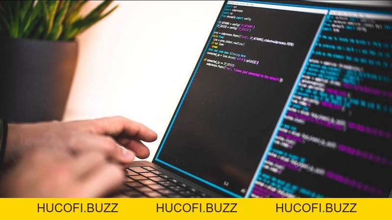 Hoạt Động Bảo Trì OK9 Làm Gì - Phổ Biến Thông Tin Cho Hội Viên - HUCOFI.BUZZ